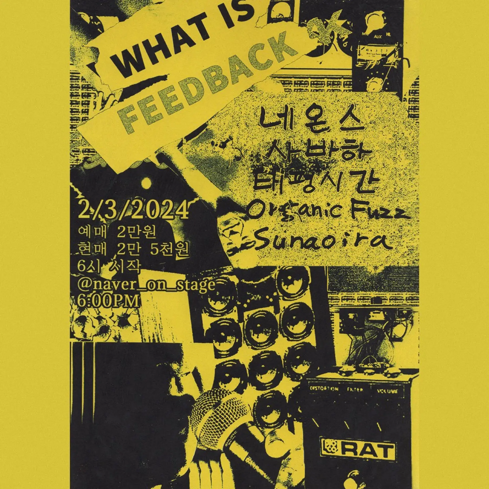 WHAT THE FEEDBACK 기록 이미지